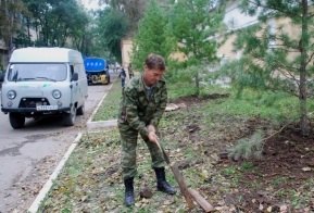 В Хабаровске появилась кедровая аллея в честь 50-летия Дню работника леса