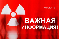 Обращение начальника управления лесами Правительства Хабаровского края Константина Хрянина
