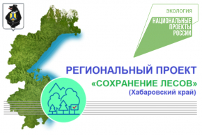 +НП 110920