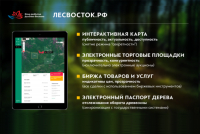 В Хабаровском крае проходит тестирование  информационной системы 