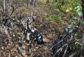 В Хабаровском крае на месте сплошных санитарных рубок появится  хвойно-широколиственная тайга