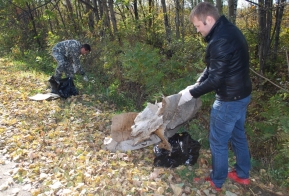 В Хабаровском крае на месте сплошных санитарных рубок появится  хвойно-широколиственная тайга