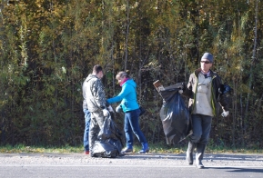 В Хабаровском крае на месте сплошных санитарных рубок появится  хвойно-широколиственная тайга