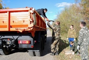В Хабаровском крае на месте сплошных санитарных рубок появится  хвойно-широколиственная тайга