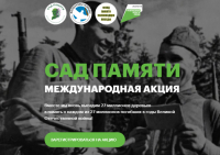 На акции 