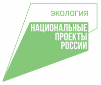 Лидером в воспроизводстве лесов признала Счетная палата РФ Хабаровский край
