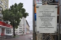 Ясень Арсеньева вновь представит Хабаровский край на конкурсе 