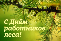 С днем работников леса!