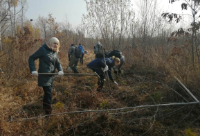 Сотрудники министерства провели агроуход за лесными культурами