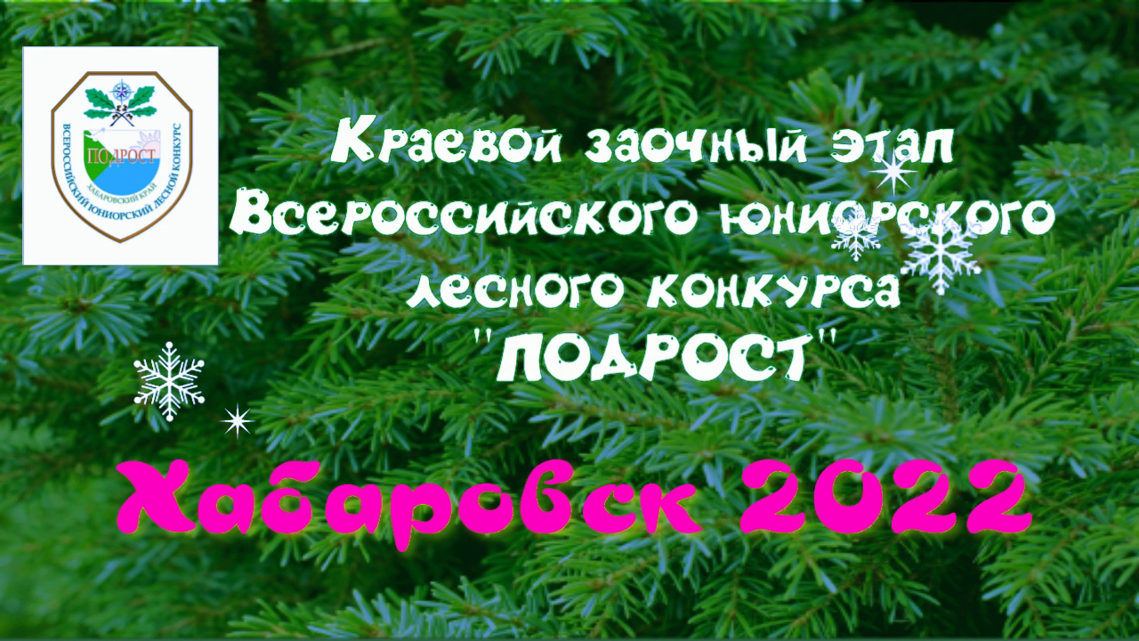 Видео 1 