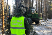 Перейти к новости Шесть фактов незаконной рубки лесных насаждений выявили лесные инспекторы в ходе проведенных проверок