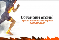 Перейти к новости Около 2,5 тысяч лекций и бесед проведено в рамках акции