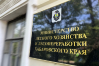 Региональное лесное ведомство отмечает свой день рождения