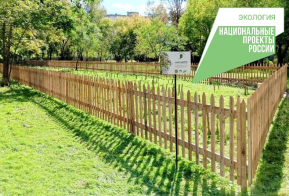 Юные лесники из Хабаровска провели вторую 
