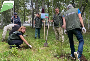 Около 4 миллионов саженцев высадили в крае с начала осеннего этапа акции 