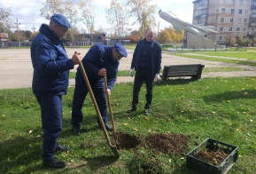 Около 4 миллионов саженцев высадили в крае с начала осеннего этапа акции 