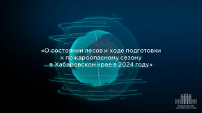О состоянии лесов и ходе подготовки к пожароопасному сезону в Хабаровском крае в 2024 году