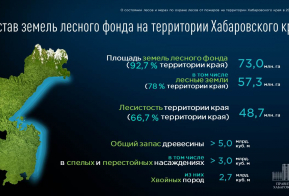 О состоянии лесов и ходе подготовки к пожароопасному сезону в Хабаровском крае в 2024 году