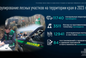О состоянии лесов и ходе подготовки к пожароопасному сезону в Хабаровском крае в 2024 году