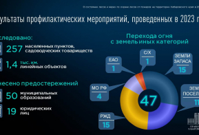О состоянии лесов и ходе подготовки к пожароопасному сезону в Хабаровском крае в 2024 году