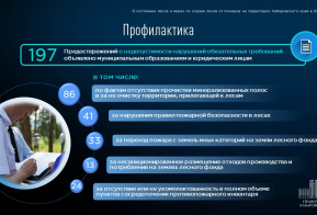 О состоянии лесов и ходе подготовки к пожароопасному сезону в Хабаровском крае в 2024 году
