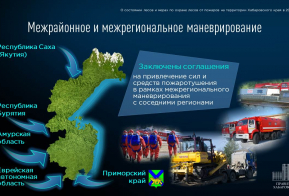 О состоянии лесов и ходе подготовки к пожароопасному сезону в Хабаровском крае в 2024 году