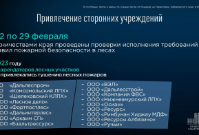 О состоянии лесов и ходе подготовки к пожароопасному сезону в Хабаровском крае в 2024 году