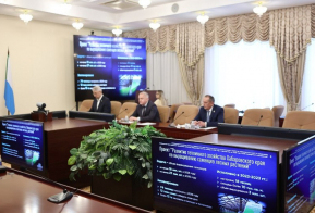 За период 2022-2023 года выращено около 30 миллионов сеянцев хвойных пород деревьев