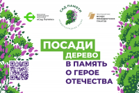 Центральная акция 