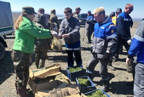 В поселке Селихино Комсомольского района появился 