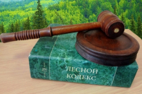 Аукцион в электронной форме