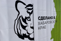 Перейти к новости Лесную промышленность широко представили на первой в регионе выставке