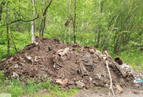 На территории лесного фонда в Хабаровском районе ликвидирована несанкционированная свалка