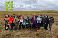 Более тысячи саженцев высадили участники центрального мероприятия акции 