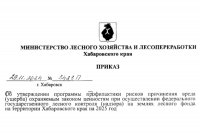 Утверждена программа профилактики лесонарушений на 2025 год
