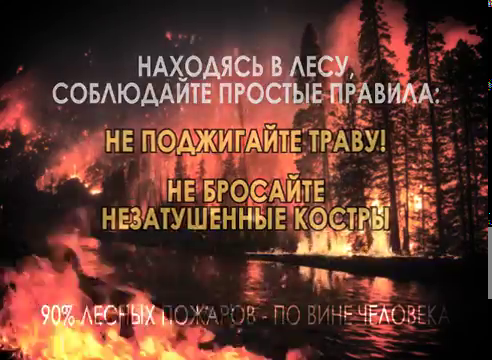 Берегите лес от пожаров