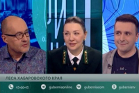 Лес Хабаровского края: как растет и как восстанавливается?