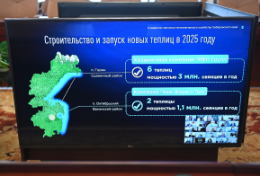 Более 13,5 млн саженцев запланировано вырастить в Хабаровском крае до конца года
