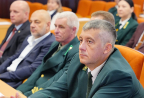 В Хабаровском крае чествовали лучших работников лесной отрасли