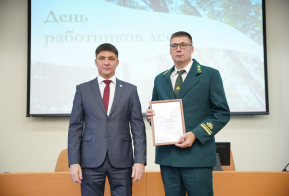 Награждение. День работников леса 2025