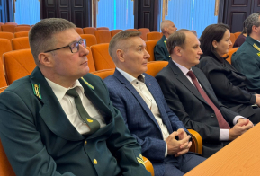 Награждение. День работников леса 2025