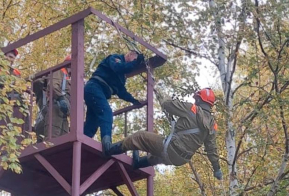 Взгляд за кулисы работы лесной охраны