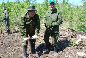 Хабаровский край поддержал акцию 