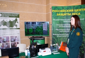 Национальный лесной форум