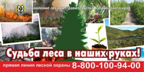 Файлы