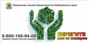 Файлы