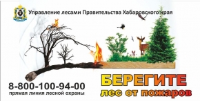 Файлы