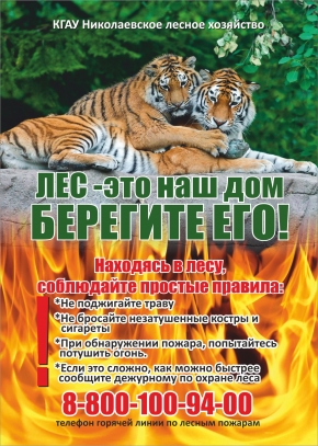 Файлы