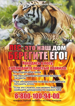 Файлы