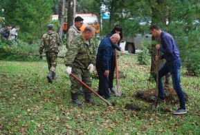 В Хабаровске появилась кедровая аллея в честь 50-летия Дню работника леса